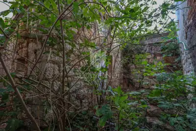 Kuća 36 m², Rovinj centar - starogradski šarm - 2