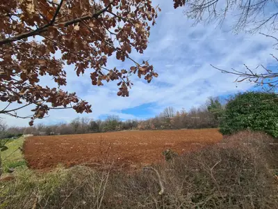 Zemljište 6 300 m², Želiski kod Barbana, 2 750 m² građevinsko