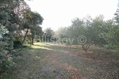 Agricultural land 14 436 m², Kaštel Novi - olive grove - 6