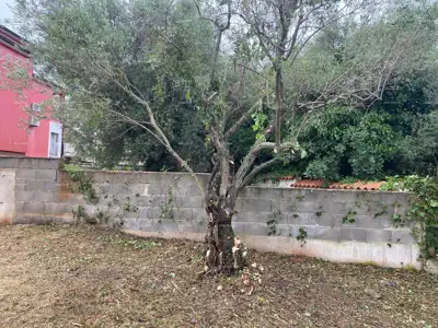 Prodaja građevinskog zemljišta s projektom i ishodovanom građevinskom dozvolom za 8 stanova, Tar! - 11