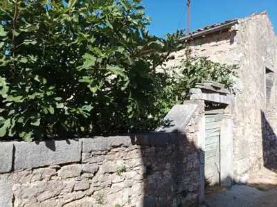 Dvije istarske kamene kuće za obnovu - 7