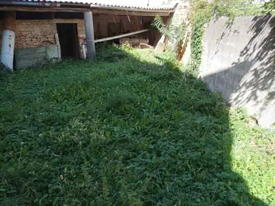 Dvije istarske kamene kuće za obnovu - 5