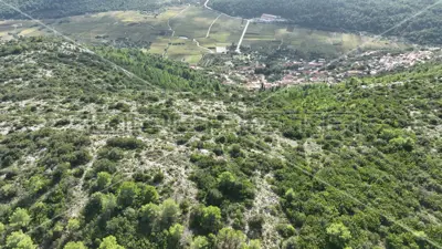 Agricultural land 51 001 m², Čara, panoramic view - 10