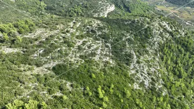 Agricultural land 51 001 m², Čara, panoramic view - 11