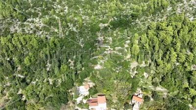 Agricultural land 51 001 m², Čara, panoramic view - 14