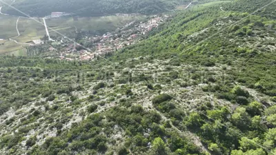 Agricultural land 51 001 m², Čara, panoramic view - 9