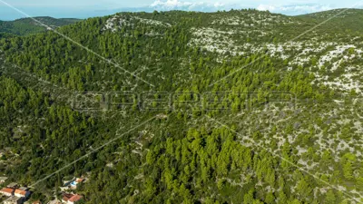 Agricultural land 51 001 m², Čara, panoramic view - 15
