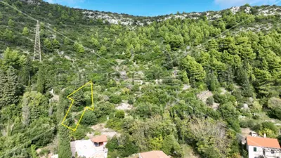 Agricultural land 51 001 m², Čara, panoramic view - 6