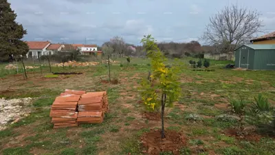 Prodaja zemljišta s građevinskom dozvolom i projektom, okolica Vodnjana! - 16