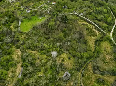 Poljoprivredno zemljište 7.790 m², Sveti Anton, blizu mora