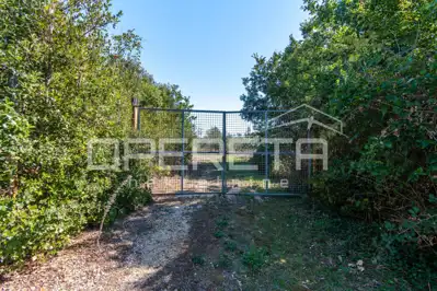 Land 14,191 m², Valtura - olive grove and proximity to the sea - 13