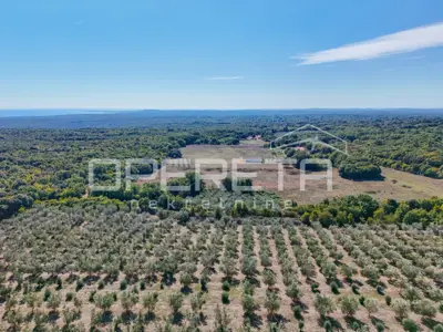 Land 14,191 m², Valtura - olive grove and proximity to the sea - 4