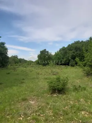 Poljoprivredno zemljište 5.539 m², Runjci - ravno i pravilnog oblika