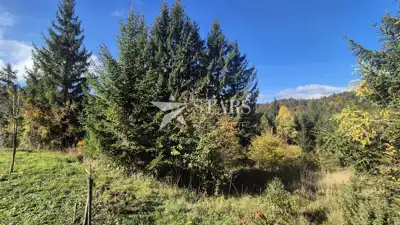 Bauland, Lokve - ruhige Lage in der Natur - 2