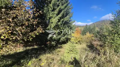 Bauland, Lokve - ruhige Lage in der Natur - 9