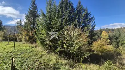 Bauland, Lokve - ruhige Lage in der Natur - 6
