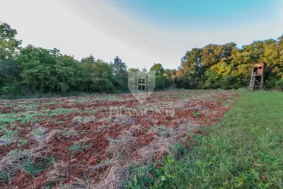 Land 25,000 m², Rovinj - peace by the forest and Limski kanal - 5
