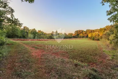 Land 25,000 m², Rovinj - peace by the forest and Limski kanal - 4