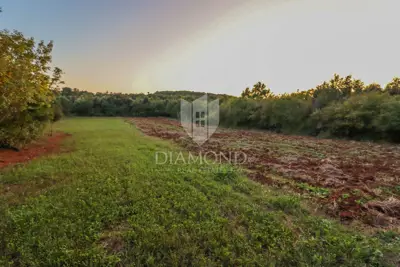 Land 25,000 m², Rovinj - peace by the forest and Limski kanal - 6