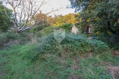 Land 25,000 m², Rovinj - peace by the forest and Limski kanal - 9