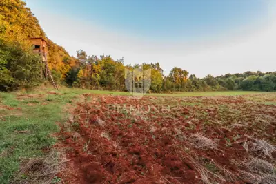 Land 25,000 m², Rovinj - peace by the forest and Limski kanal - 7