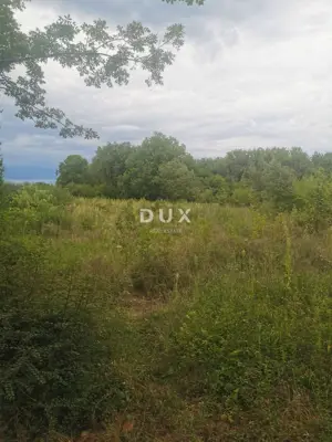 Landwirtschaftsfläche 1.113 m², Brzac auf der Insel Krk - 2