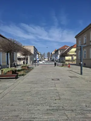 Gewerberaum 90 m², Sisak Centar - Ladenlokal zur Straße
