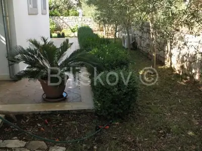 Šolta Maslinica 2 kuće 120 m od mora - 7