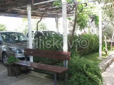 Šolta Maslinica 2 kuće 120 m od mora - 16