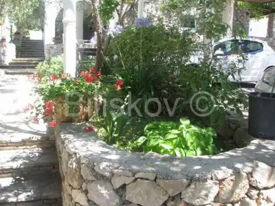 Šolta Maslinica 2 kuće 120 m od mora - 17