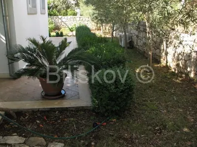 Semi-detached house 260 m², Maslinica on Šolta, sea view - 7