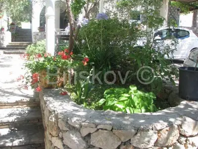 Semi-detached house 260 m², Maslinica on Šolta, sea view - 17