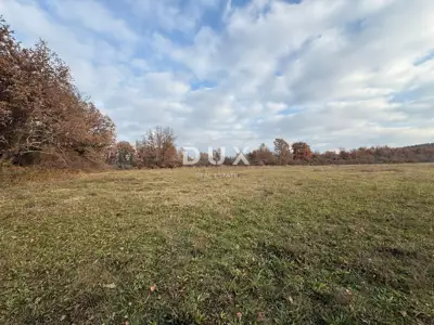 Agricultural land, Poreč - flat and cleared - 2