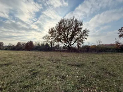 Agricultural land, Poreč - flat and cleared - 4