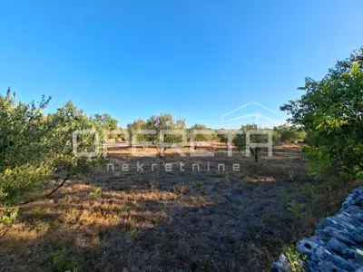 Land 2,216 m², Sedramić - landscaped and fenced - 2