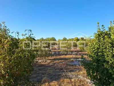 Land 2,216 m², Sedramić - landscaped and fenced - 4