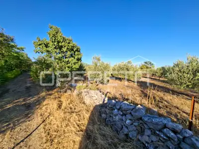 Land 2,216 m², Sedramić - landscaped and fenced - 6
