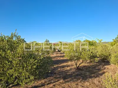 Land 2,216 m², Sedramić - landscaped and fenced - 3
