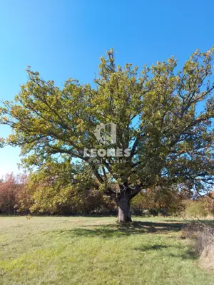 Građevinsko zemljište 3 630 m², Marušići kod Buja - 3