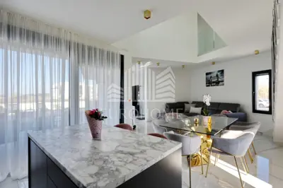 POTPUNO OPREMLJENA VILA, PRIVLAKA (464 m²) - 11