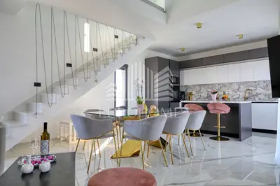 POTPUNO OPREMLJENA VILA, PRIVLAKA (464 m²) - 14