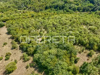 Poljoprivredno zemljište, 24.515 m², Karojba - okolica - 3