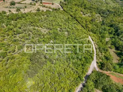 Poljoprivredno zemljište, 24.515 m², Karojba - okolica - 4