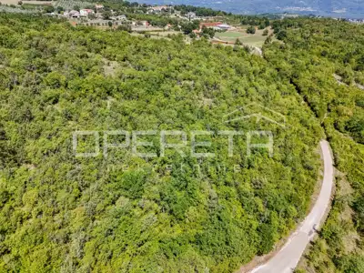 Poljoprivredno zemljište, 24.515 m², Karojba - okolica - 2