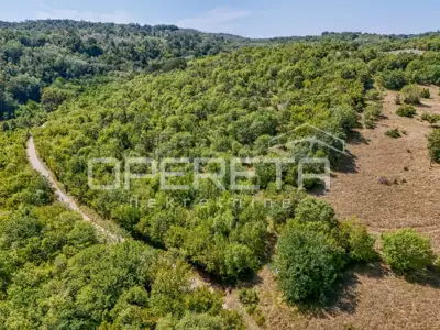 Poljoprivredno zemljište, 24.515 m², Karojba - okolica