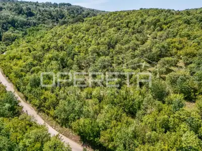 Poljoprivredno zemljište, 24.515 m², Karojba - okolica - 5