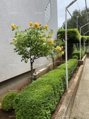 Kuća 250 m², Pula Stoja, 150 m od mora - 6