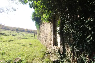 Imanje 18.133 m², Boljun - mir i pogled na krajolik - 5