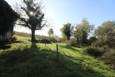 Imanje 18.133 m², Boljun - mir i pogled na krajolik - 10