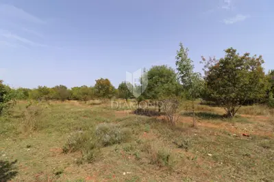 Building plot 1,446 m², Svetvinčenat - quiet location
